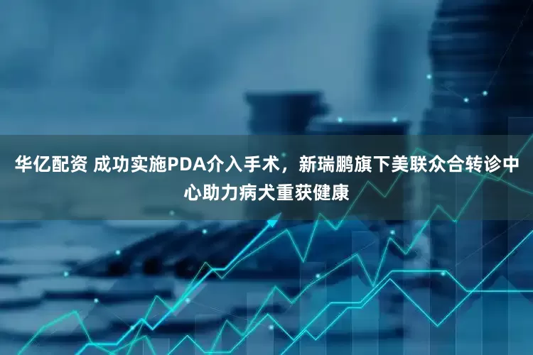 华亿配资 成功实施PDA介入手术，新瑞鹏旗下美联众合转诊中心助力病犬重获健康