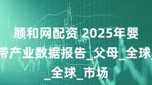 顺和网配资 2025年婴儿背带产业数据报告_父母_全球_市场
