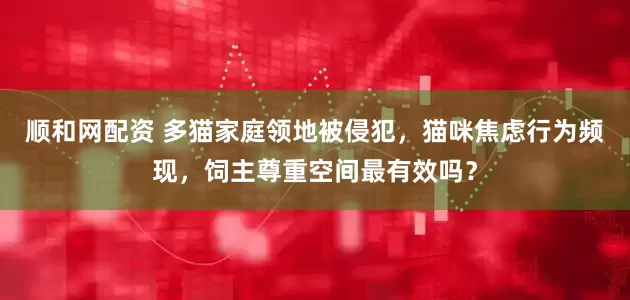 顺和网配资 多猫家庭领地被侵犯，猫咪焦虑行为频现，饲主尊重空间最有效吗？