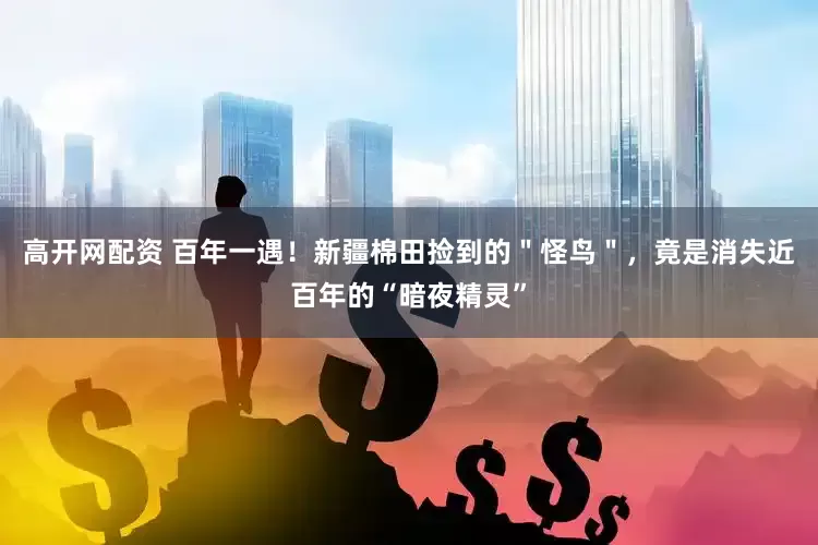 高开网配资 百年一遇！新疆棉田捡到的＂怪鸟＂，竟是消失近百年的“暗夜精灵”