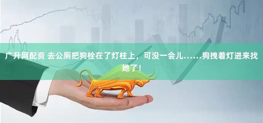 广升网配资 去公厕把狗栓在了灯柱上，可没一会儿……狗拽着灯进来找她了！