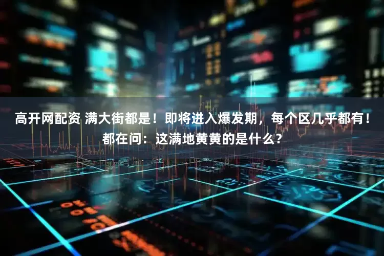 高开网配资 满大街都是！即将进入爆发期，每个区几乎都有！都在问：这满地黄黄的是什么？
