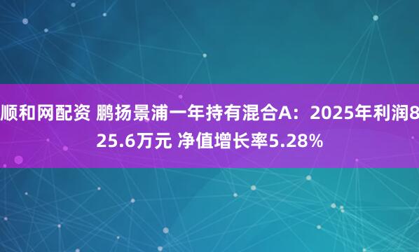 顺和网配资 鹏扬景浦一年持有混合A:2025年利润825.6万元 净值增长率5.28%